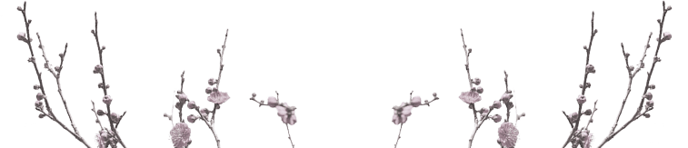 home-announcment-img-4 a